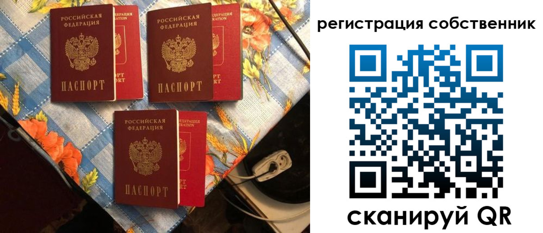 прописка в Цимлянске